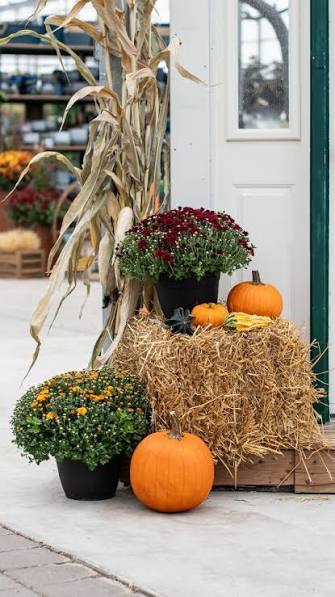 Fall Porch Survival Kit