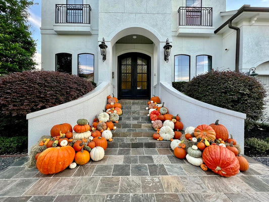 Package 1: Never Enough Pumpkins 'The Luxury Collection'